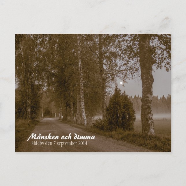 Månsken och dimma CC0545 Sideby Postcard Vykort (Framsida)