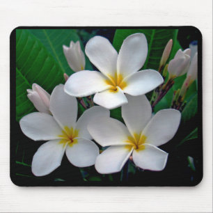 MånskenPlumeria Mousepad Musmatta