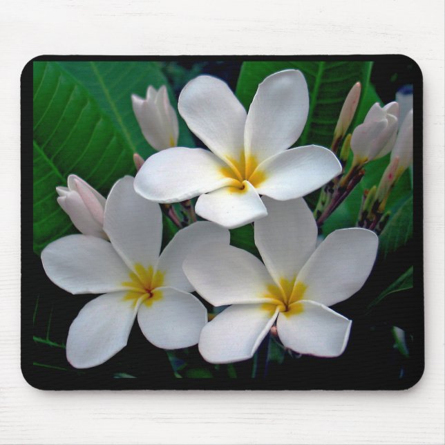 MånskenPlumeria Mousepad Musmatta (Framsidan)