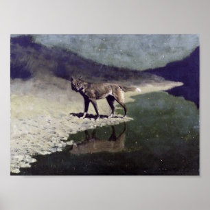 Månskenvarg Poster