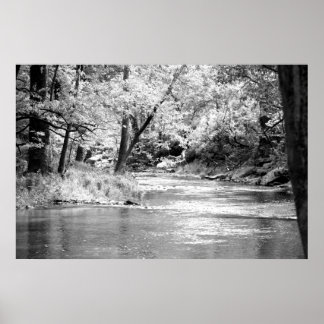 Mansker Bäck Poster