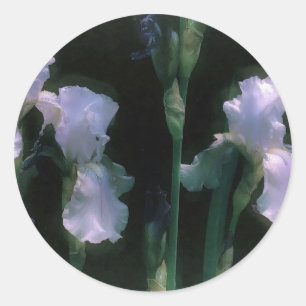 Månskin Vit Iris i Blomning Runt Klistermärke