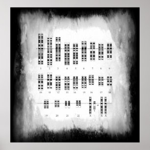 MÄNSKLIG GENETISK VARIATION - KARYOTYPE POSTER
