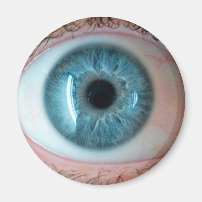 Mänsklig Magnet (Framsidan)