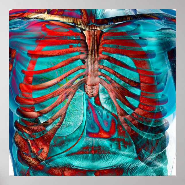 Mänskliga bröst poster (Framsidan)