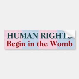 Mänskliga Höger Börjar i Womb Bildekal