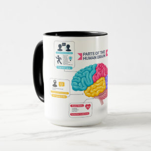 Mänskligt hjärndiagram mugg
