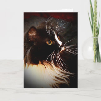 Månstråle - anpassningsbar noterar kortet kort