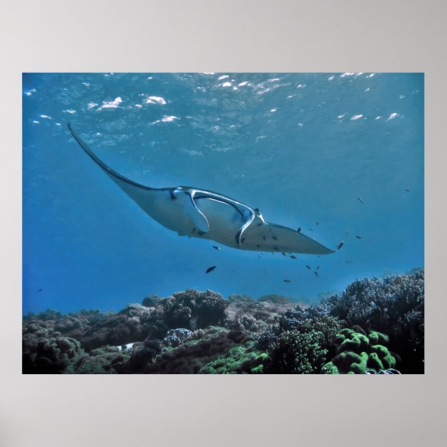 Manta om revet poster (Framsidan)
