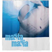 Manta ray