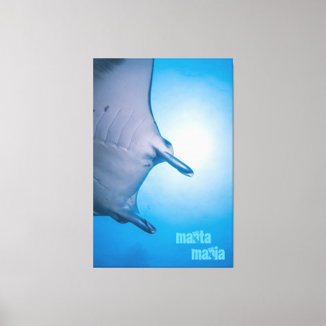 Manta ray canvastryck (Framsida)