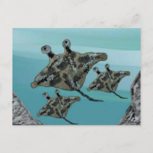 Manta Ray Family Vykort