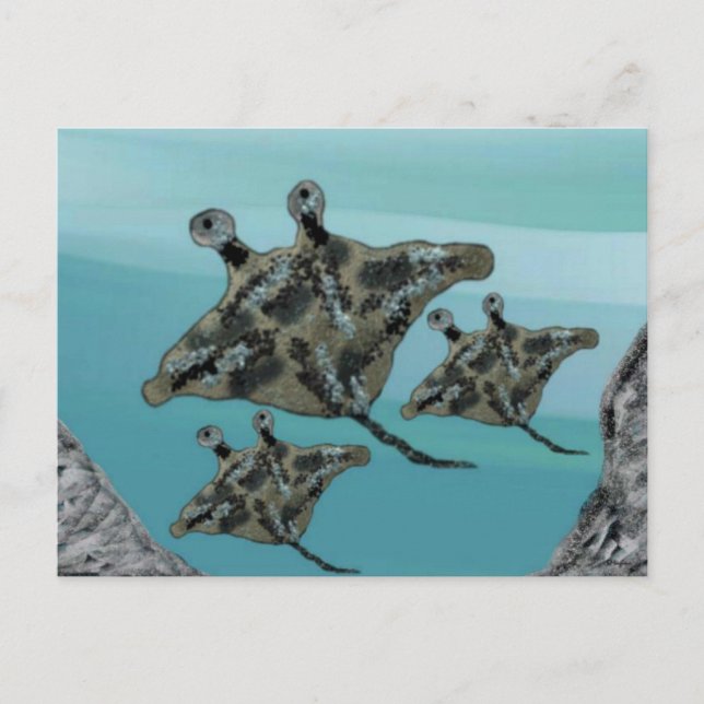 Manta Ray Family Vykort (Framsida)