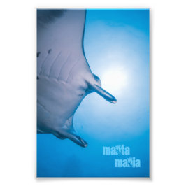 Manta ray fototryck