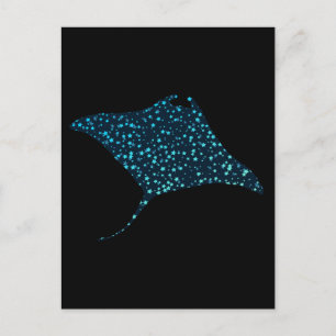 Manta Ray Postcard Vykort