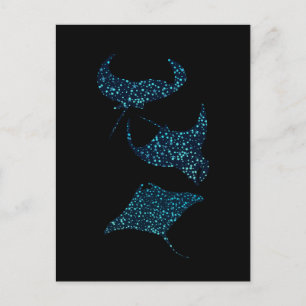 Manta Ray Postcard Vykort