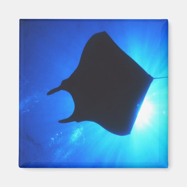 Manta Ray Silhouette Magnet (Framsidan)