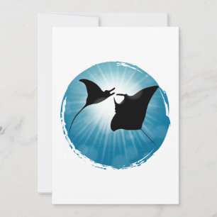 Manta Ray Underwater Aquatic Life