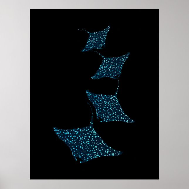 Manta Rays Poster (Framsidan)