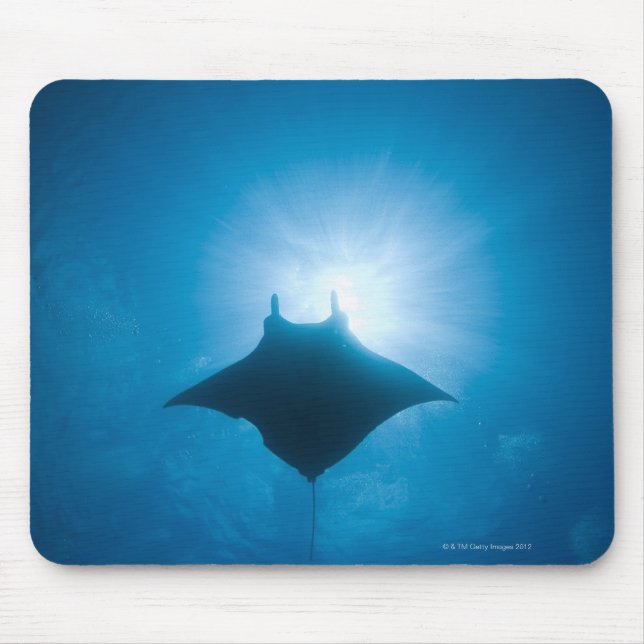 Manta simmar under vatten musmatta (Framsidan)