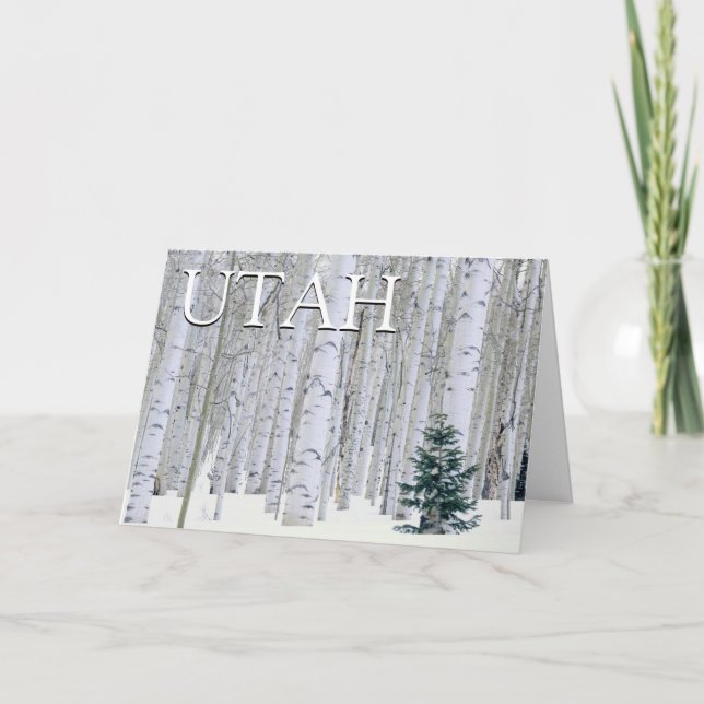 Manti-LaSal National Forest, Utah | Grattis på föd Kort (Framsida)