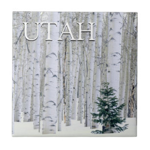 Manti-LaSal National Forest, Utah Kakelplatta