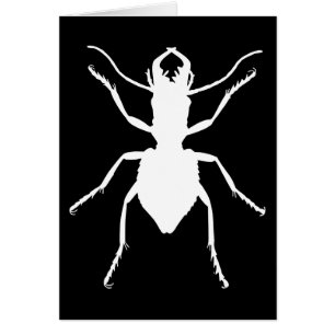 Manticora tuberculata hälsningskort