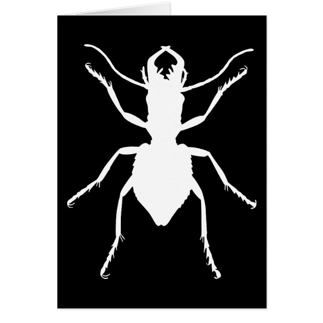 Manticora tuberculata hälsningskort (Framsidan)