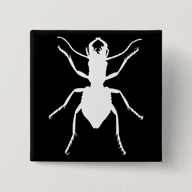 Manticora tuberculata knapp (Framsida)