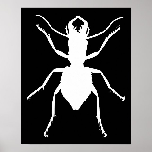 Manticora tuberculata poster (Framsidan)
