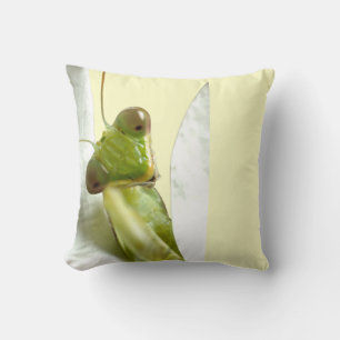 Mantid Kudde
