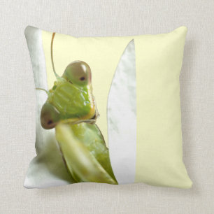 Mantid Kudde