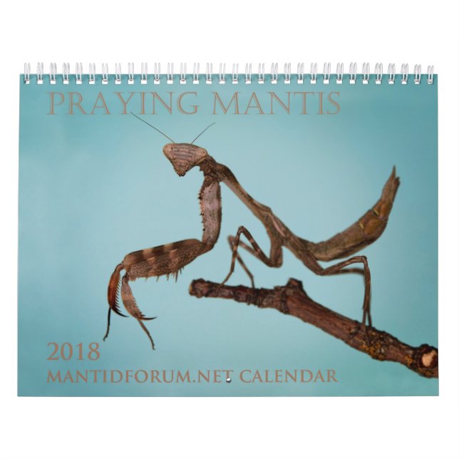 Mantidforum.net väggkalender 2018 kalender (Omslag)