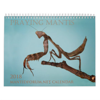 Mantidforum.net väggkalender 2018 kalender
