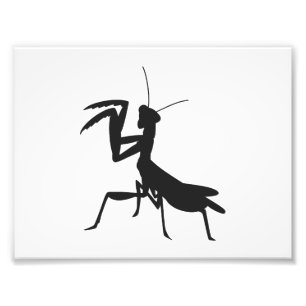 Mantis i silhuett - Välj bakgrund färg Fototryck