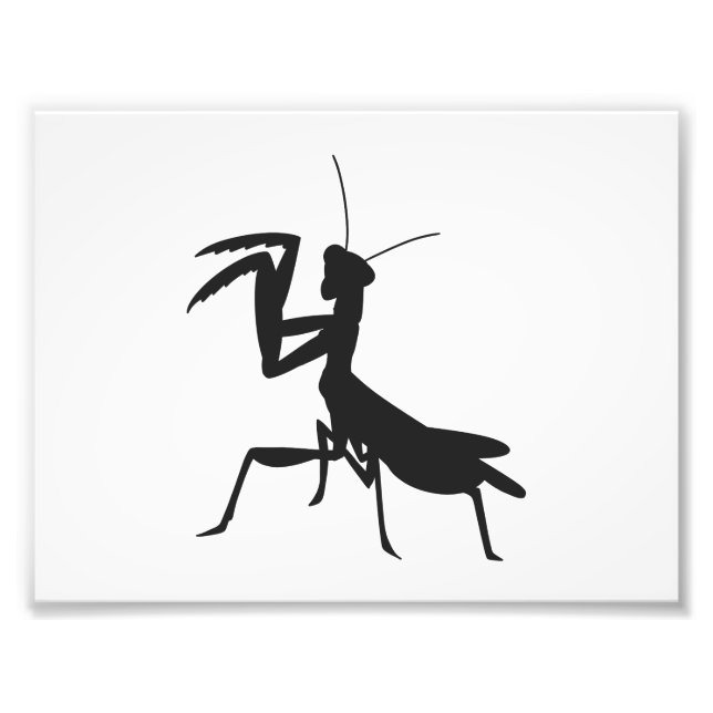 Mantis in silhouette - Välj bakgrund färg Fototryck (Framsidan)