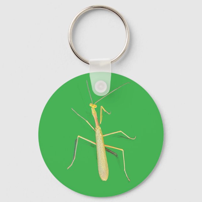 Mantis. Nyckelring (Framsida)