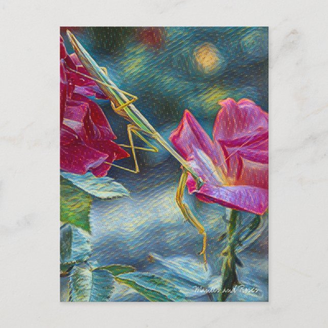 Mantis：Postcard Vykort (Framsida)