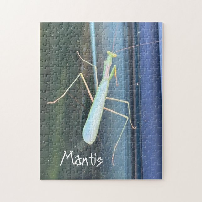 Mantis Pussel (Vertikal)