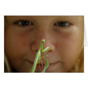 Mantis religiosa hälsningskort