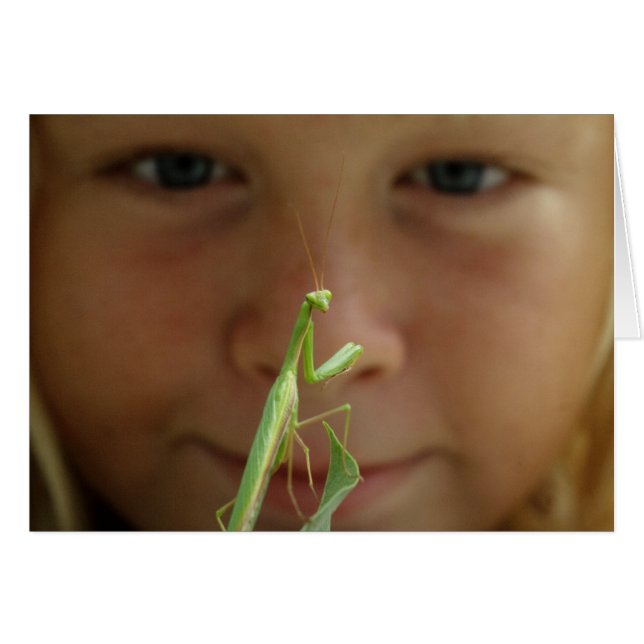 Mantis religiosa hälsningskort (Framsidan Horizontal)