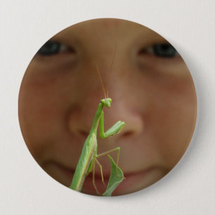 Mantis religiosa knapp