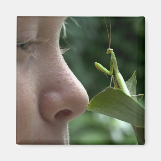 Mantis religiosa magnet (Framsidan)