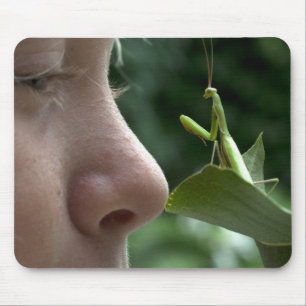 Mantis religiosa musmatta