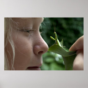 Mantis religiosa poster