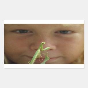 Mantis religiosa rektangulärt klistermärke