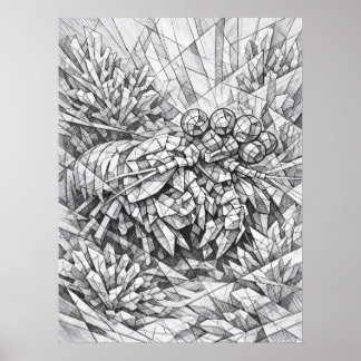 Mantis Shrimp Coral Geometry Art Poster