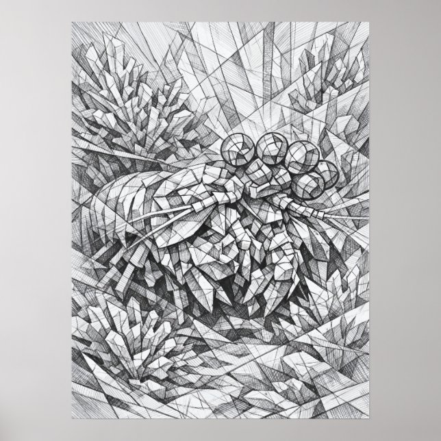 Mantis Shrimp Coral Geometry Art Poster (Framsidan)
