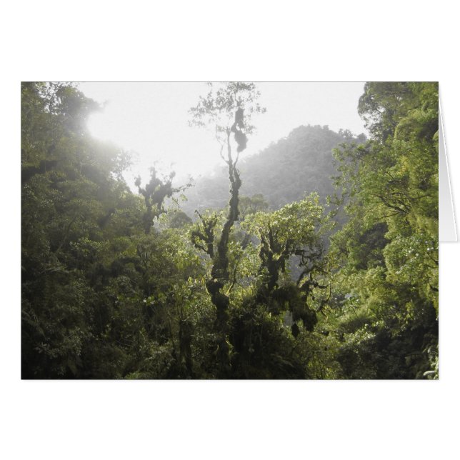 Manu nationalpark hälsningskort (Framsidan Horizontal)