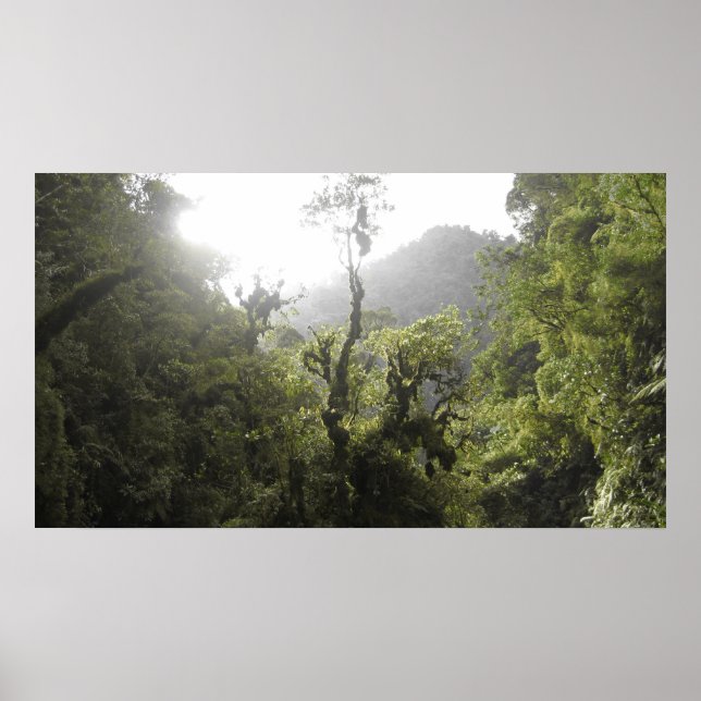Manu nationalpark poster (Framsidan)